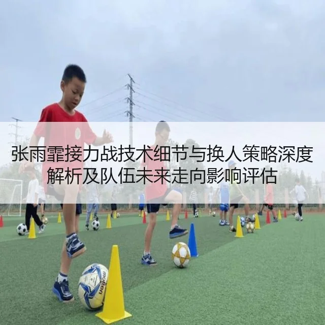 张雨霏接力战技术细节与换人策略深度解析及队伍未来走向影响评估（HTH）
